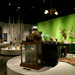 Ravishing Beasts . Guest Curator Rachel Poliquin . Vancouver Museum . Exhibit Design